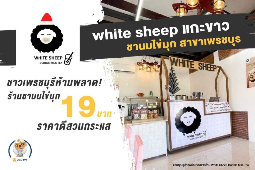 White sheep แกะขาว