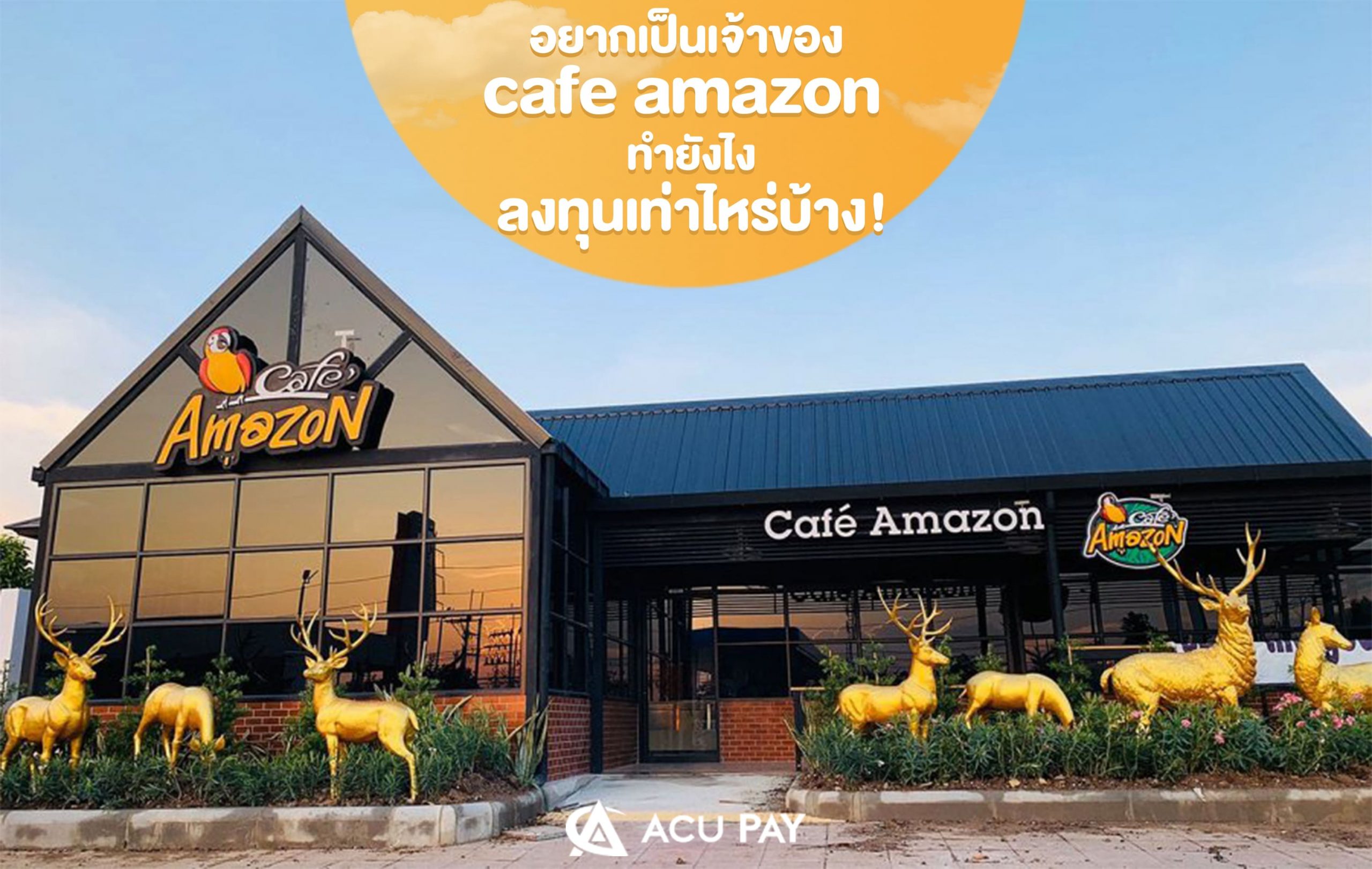 เปิดแฟรนไชส์ร้าน Cafe Amazon - Acu Pay Thailand