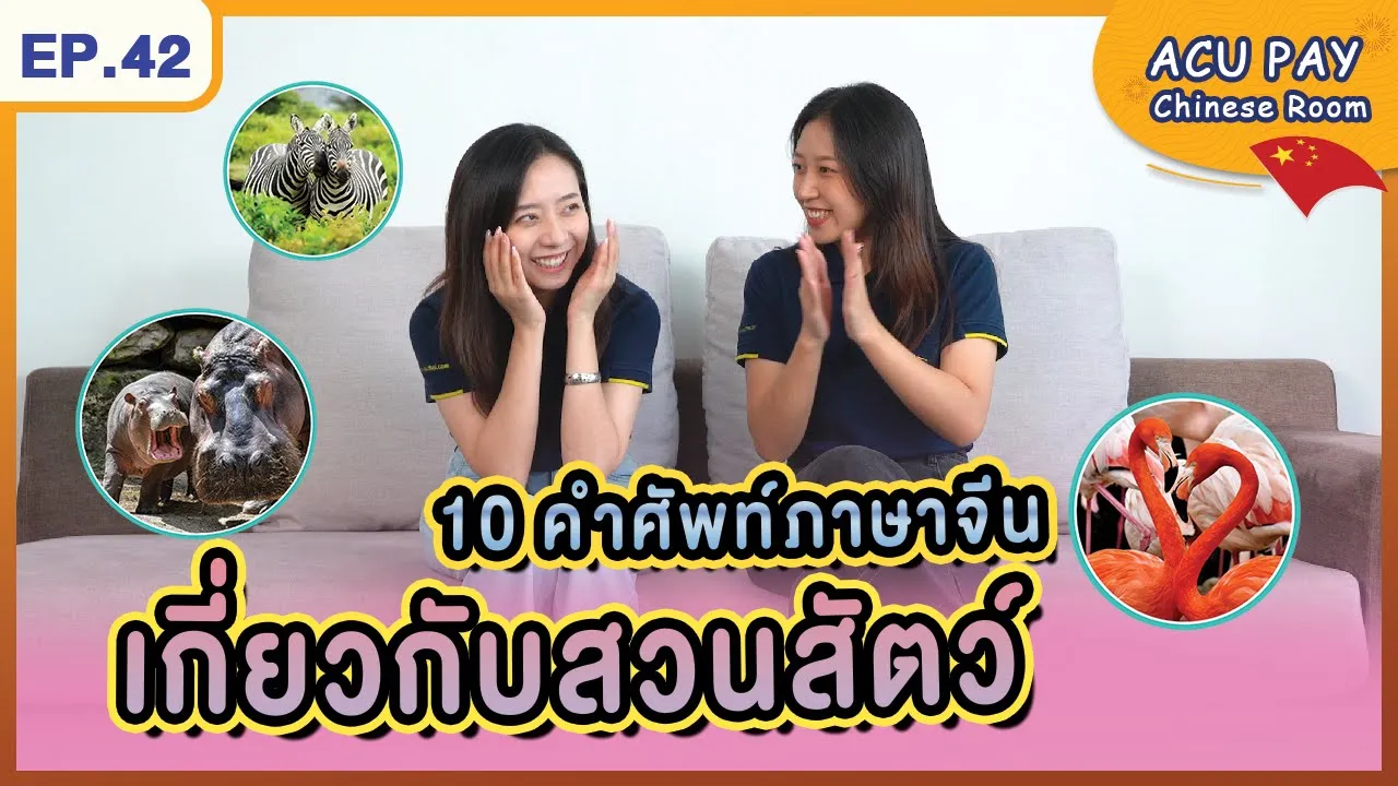 คำศัพท์ภาษาจีนเกี่ยวกับสวนสัตว์