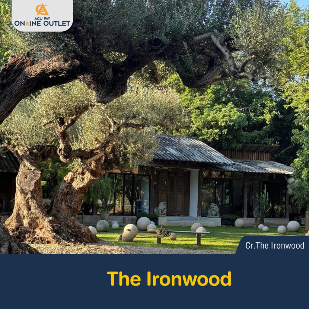 The Ironwood