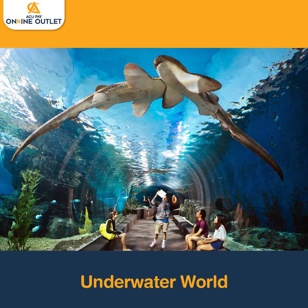 Underwater World