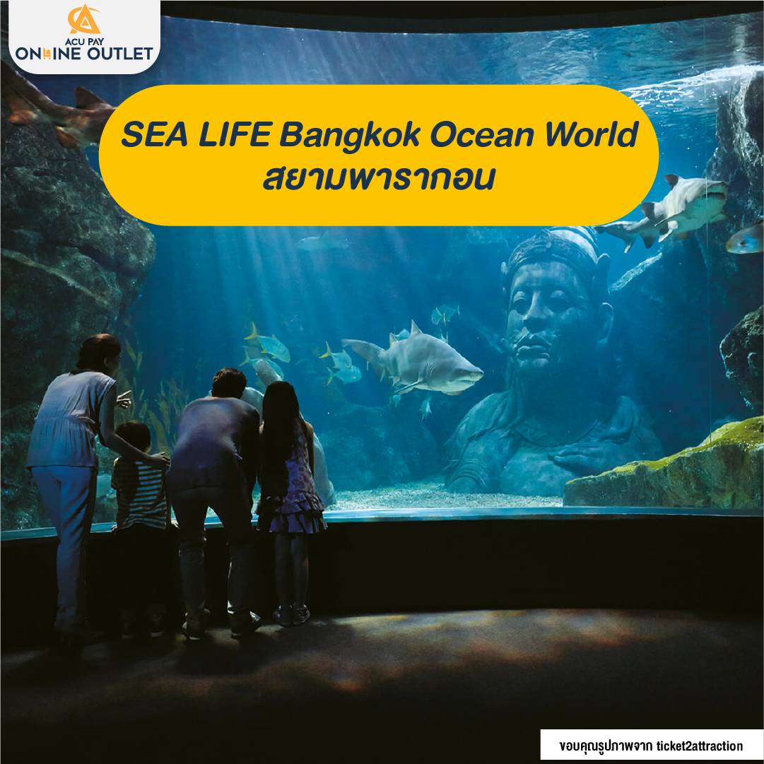 SEA LIFE Bangkok Ocean World สยามพารากอน